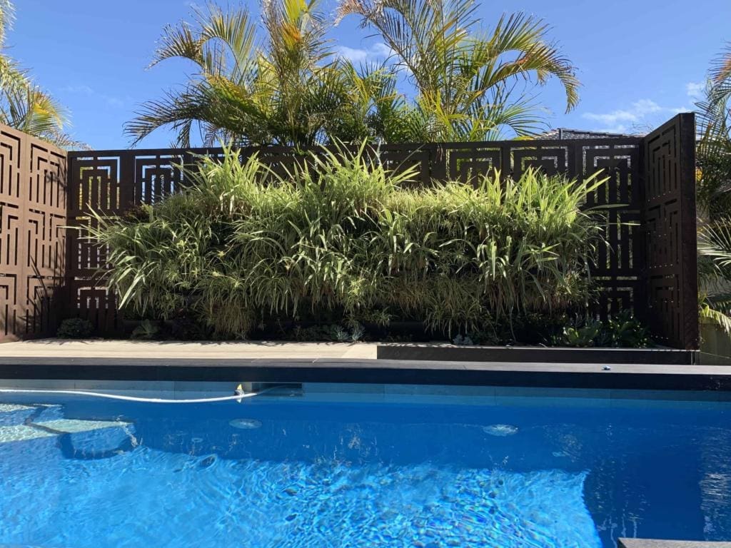 20181217 010101986 iOS e15645516 1 Trees & Plants 5