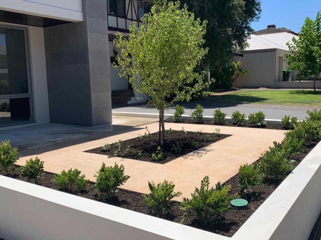 20190116 045831412 iOS 1 Trees & Plants 1