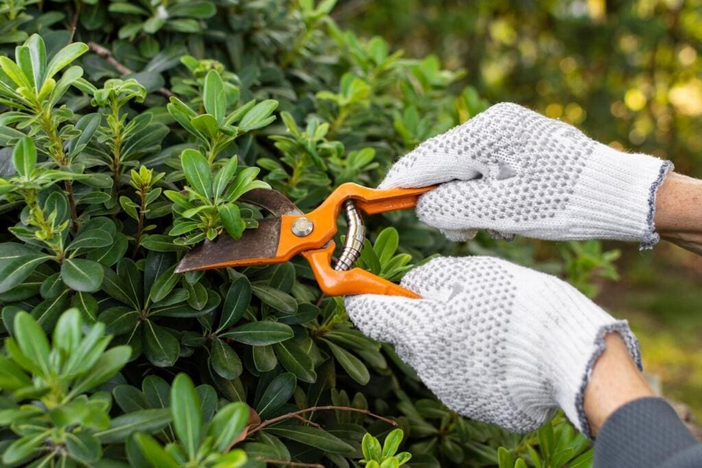 Garden Care Seasonal Garden Care Checklist: What to Do in Your Garden Year-Round 11 Garden Care and Maintenance